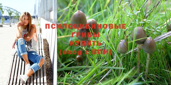 МДПВ Пролетарск
