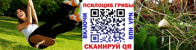 как найти закладки  Кандалакша  Галлюциногенные грибы Magic Shrooms 